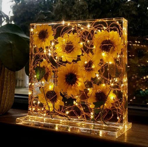 Wood Frame circular